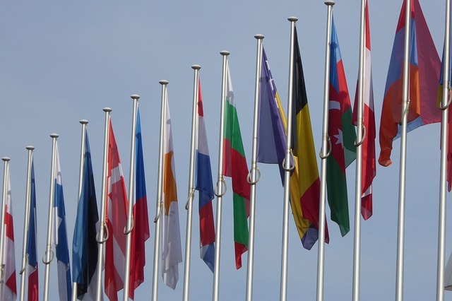 Europaflaggen reetdachfan